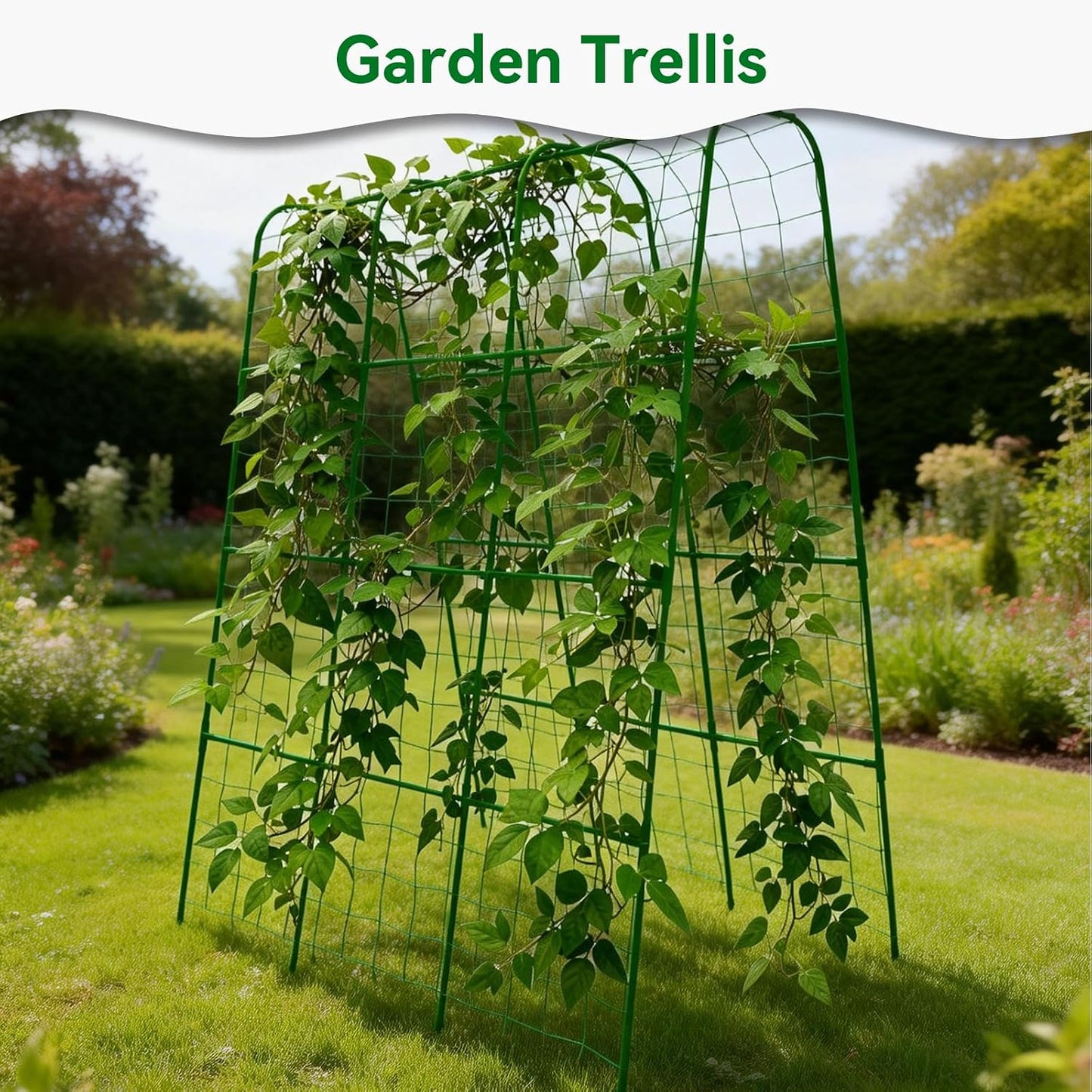Cucumber Trellis - 62.4"*50" Cucumber Trellis for Raised Bed with Plastic-Coated Steel Pipe, U-Shape Garden Trellis for Climbing Plants, Garden Trellis for Cucumbers, Beans(Black)