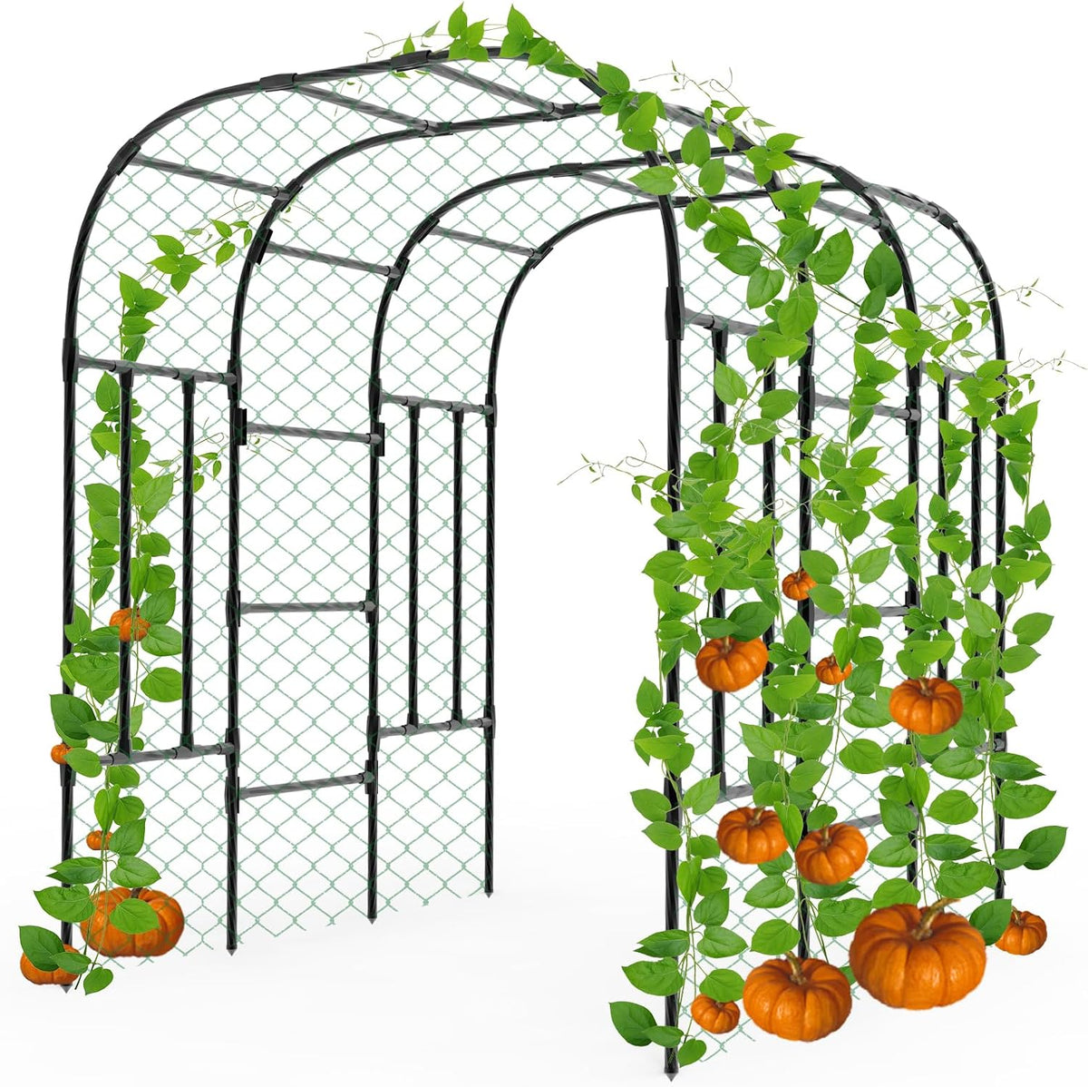 Cucumber Trellis - 62.4"*50" Cucumber Trellis for Raised Bed with Plastic-Coated Steel Pipe, U-Shape Garden Trellis for Climbing Plants, Garden Trellis for Cucumbers, Beans(Black)
