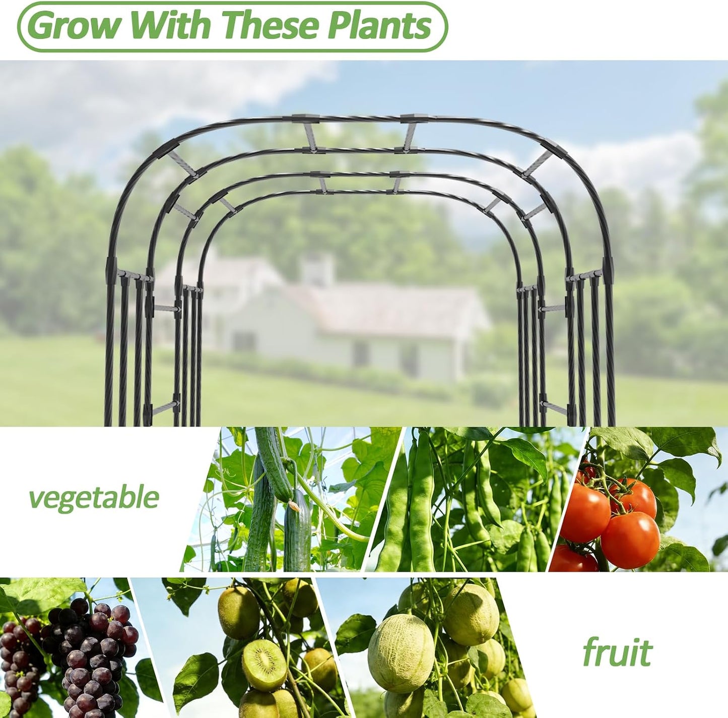 Cucumber Trellis - 62.4"*50" Cucumber Trellis for Raised Bed with Plastic-Coated Steel Pipe, U-Shape Garden Trellis for Climbing Plants, Garden Trellis for Cucumbers, Beans(Black)