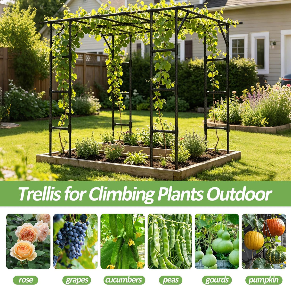 Cucumber Trellis - 62.4"*50" Cucumber Trellis for Raised Bed with Plastic-Coated Steel Pipe, U-Shape Garden Trellis for Climbing Plants, Garden Trellis for Cucumbers, Beans(Black)