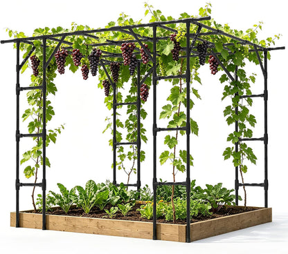 Cucumber Trellis - 62.4"*50" Cucumber Trellis for Raised Bed with Plastic-Coated Steel Pipe, U-Shape Garden Trellis for Climbing Plants, Garden Trellis for Cucumbers, Beans(Black)