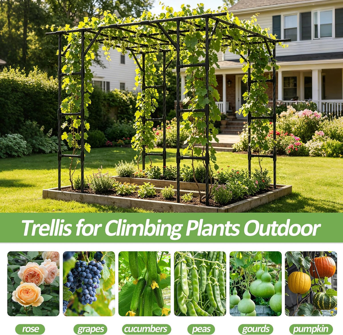 Cucumber Trellis - 62.4"*50" Cucumber Trellis for Raised Bed with Plastic-Coated Steel Pipe, U-Shape Garden Trellis for Climbing Plants, Garden Trellis for Cucumbers, Beans(Black)