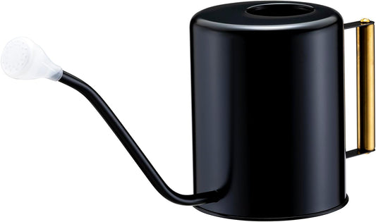 Stainless Steel 62oz Watering Can Long Spout Plant Misters for Indoor Plant Watering or Outdoor Gardening with 2Pcs Removable Spray Spout for Flowers Black