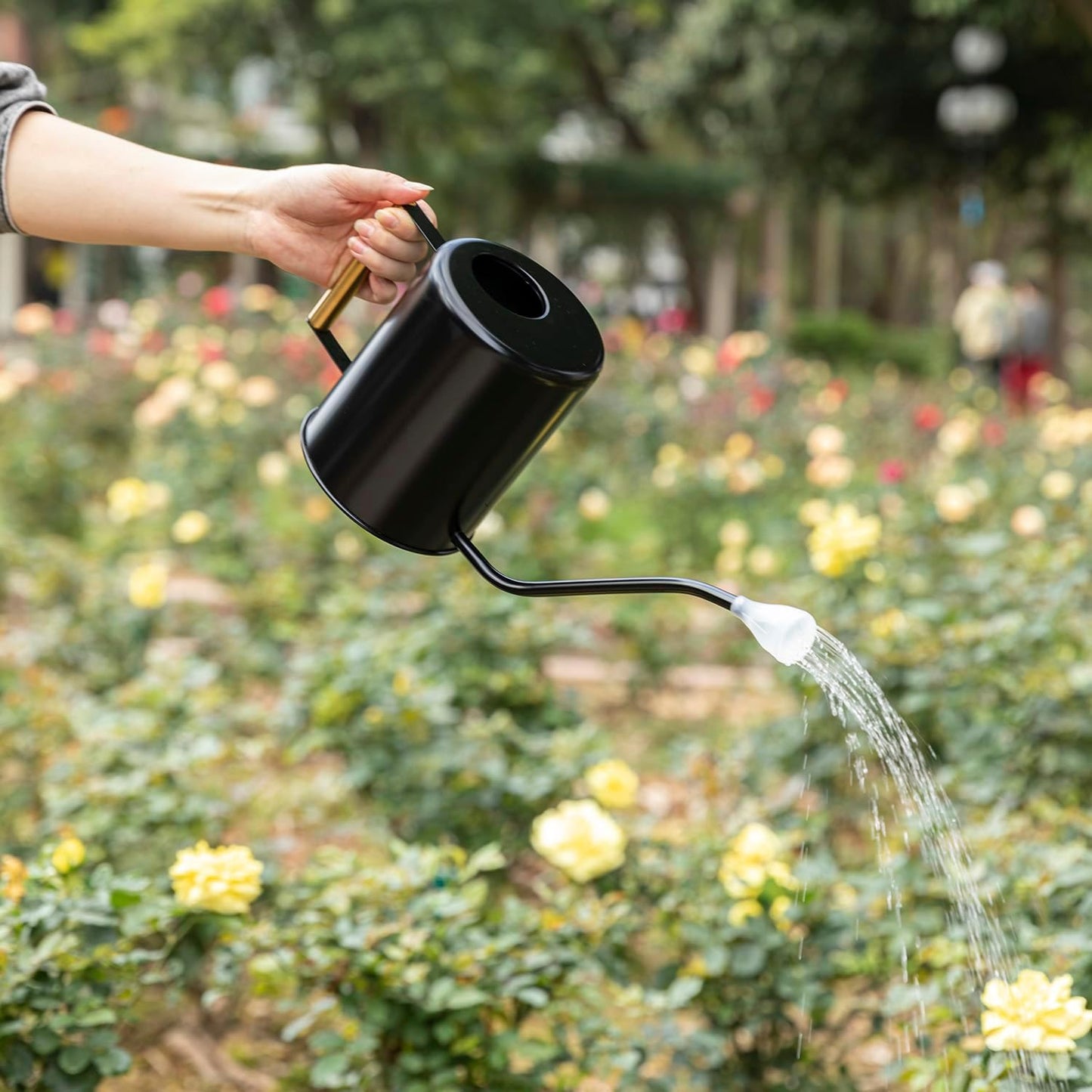 Stainless Steel 62oz Watering Can Long Spout Plant Misters for Indoor Plant Watering or Outdoor Gardening with 2Pcs Removable Spray Spout for Flowers Black