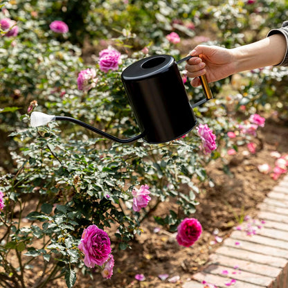 Stainless Steel 62oz Watering Can Long Spout Plant Misters for Indoor Plant Watering or Outdoor Gardening with 2Pcs Removable Spray Spout for Flowers Black