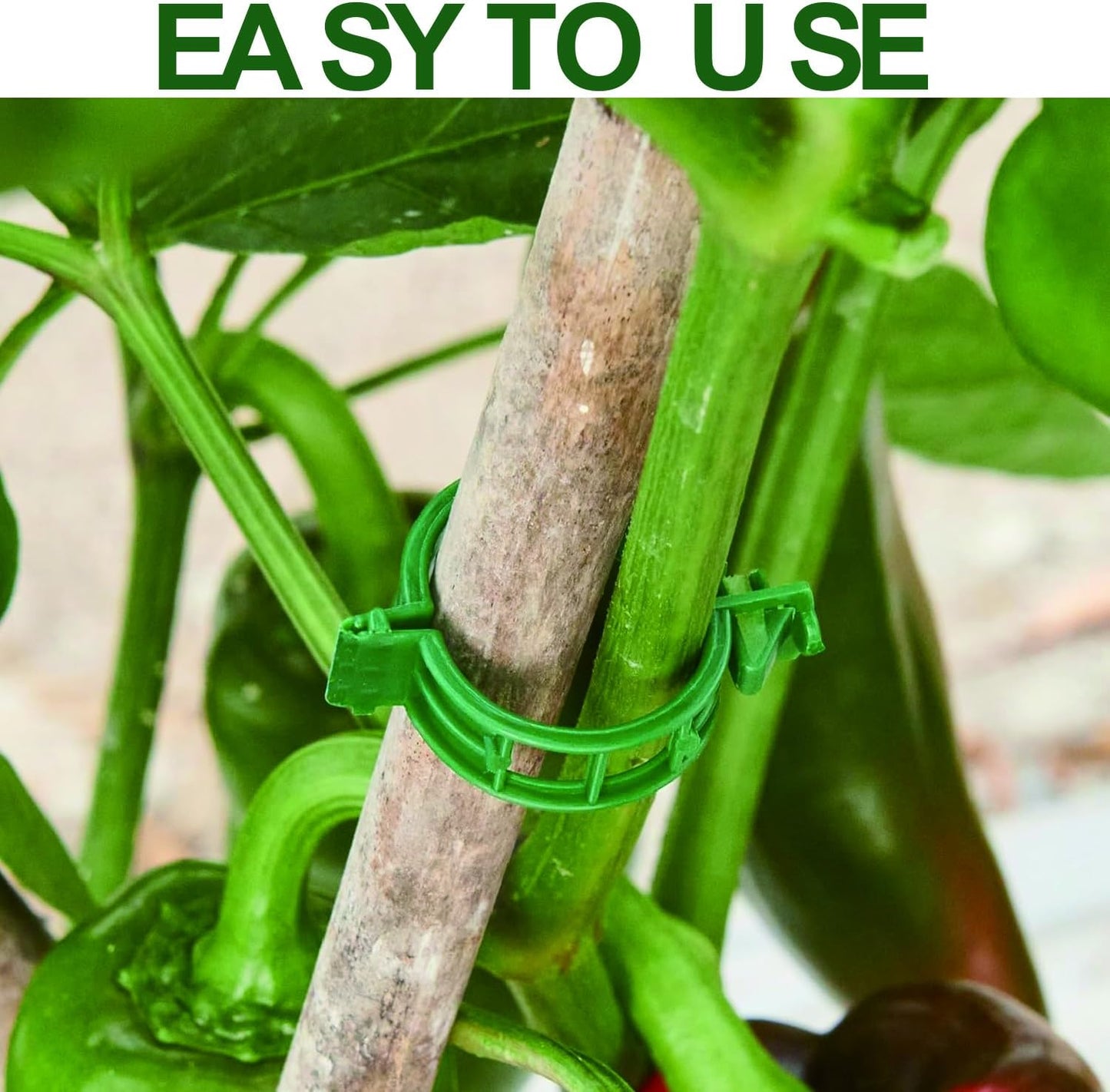 Plant Support Clips,100 Pcs Plastic Clips for Securing Climbing Plants,Tomato Vine Clips,Plant Fixing Clips,Garden Clips for Climbing Plants,Grape and Vine Vegetables White