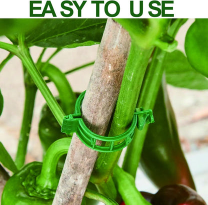 Plant Support Clips,100 Pcs Plastic Clips for Securing Climbing Plants,Tomato Vine Clips,Plant Fixing Clips,Garden Clips for Climbing Plants,Grape and Vine Vegetables White