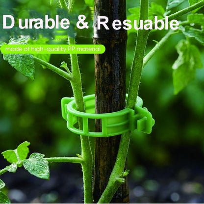 Plant Support Clips,100 Pcs Plastic Clips for Securing Climbing Plants,Tomato Vine Clips,Plant Fixing Clips,Garden Clips for Climbing Plants,Grape and Vine Vegetables White