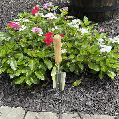 Eco Transplanter Trowel Shovel- 100% Recycled Stainless Steel - Rust Resistant - FSC Certified Wood Ergonomic Handle - Perfect Tool for Gardening Weeding Transplanting and Digging