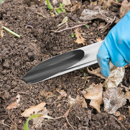 Small Stainless Steel Soil Scoop for Indoor Plants, Metal Potting Bucket Shovel Bonsai Tools, Succulent Gardening Scooper Trowel for Dirt Container