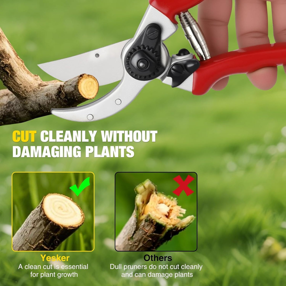 Professional Bypass Pruning Shears, 8.5 Inch SK5 Steel with Titanium, Heavy Duty Garden Clippers for Hedge Trimming (Black) (Yellow)