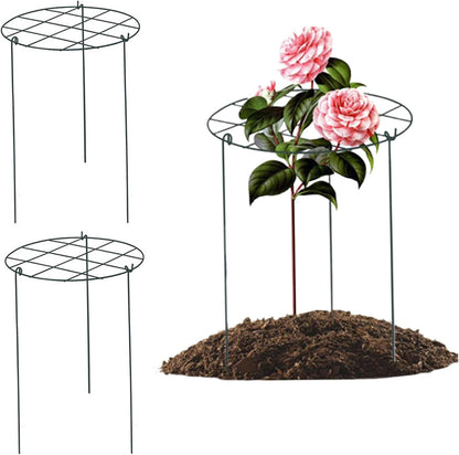 Peonies Support Cages, 6 Pack Peony Cages and Supports 35x45cm Plant Cages for Outdoor Plants Tomato Plant Support Plant Brace Flower Support Rings Hoops for Rose, Orchids, 12x18''