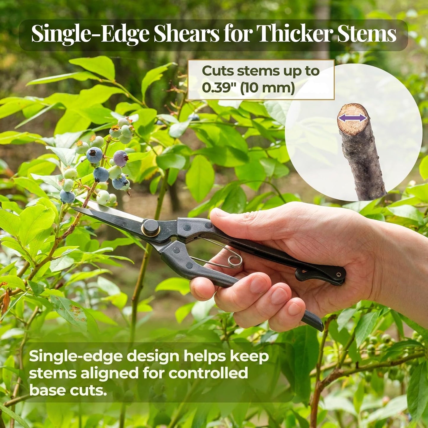 Japanese Pruning Shears, 8.2" Long, Cuts up to 0.2", Made in Japan