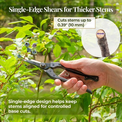 Japanese Pruning Shears, 8.2" Long, Cuts up to 0.2", Made in Japan