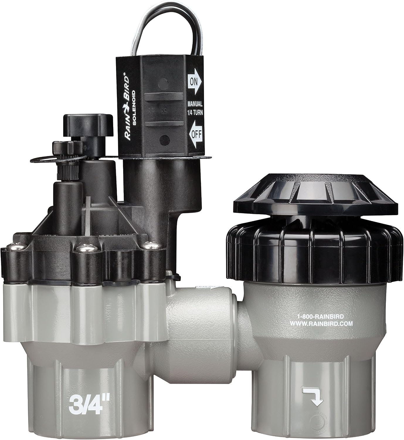 DASASVF075 Professional Anti-Siphon Valve, 3/4"