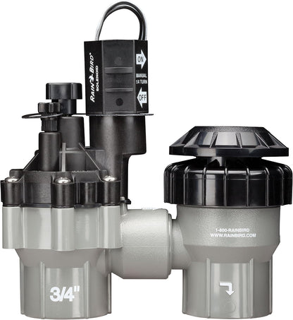 DASASVF075 Professional Anti-Siphon Valve, 3/4"
