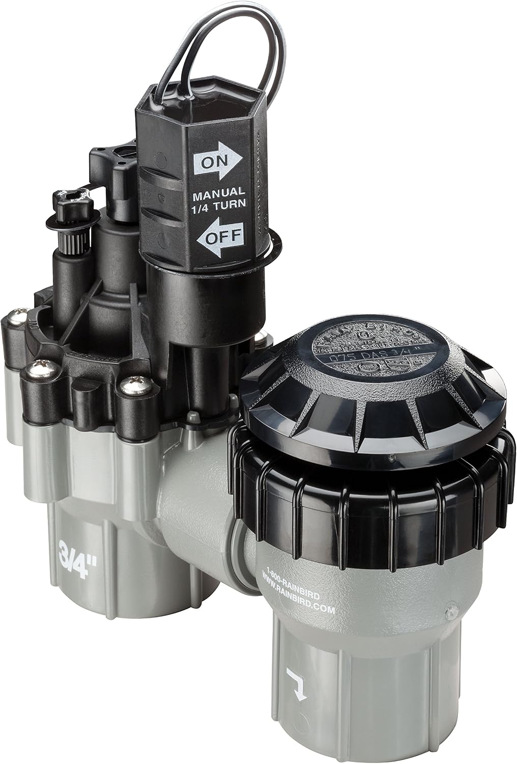 DASASVF075 Professional Anti-Siphon Valve, 3/4"