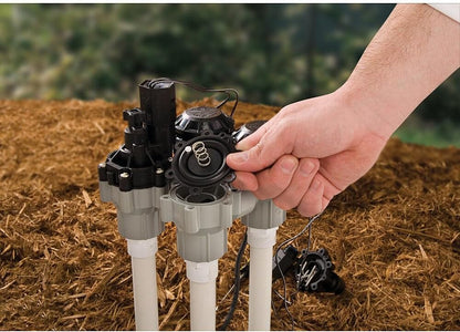 DASASVF075 Professional Anti-Siphon Valve, 3/4"