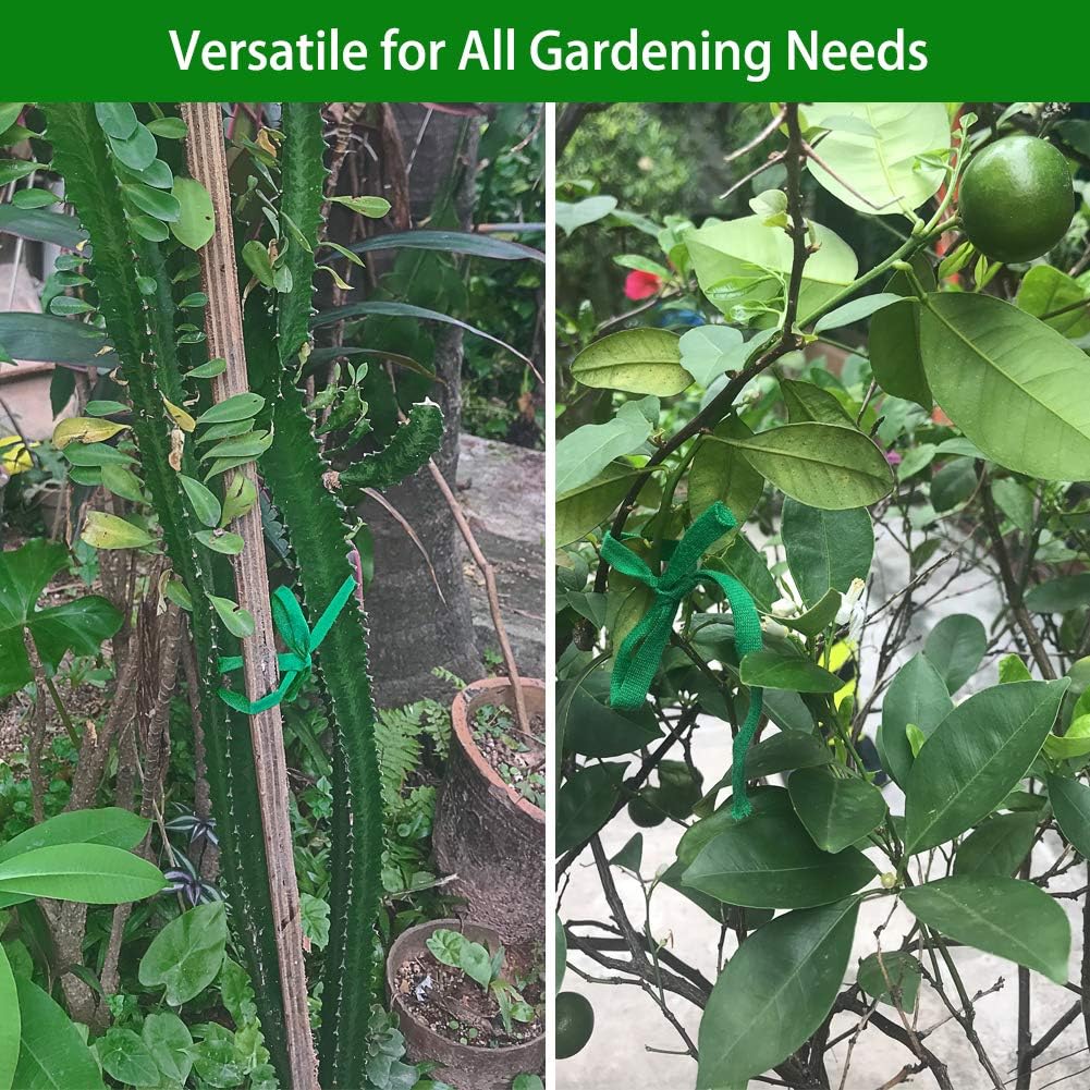 Plant Ties, 164 Feet 8mm Green Garden Twine for Tomato