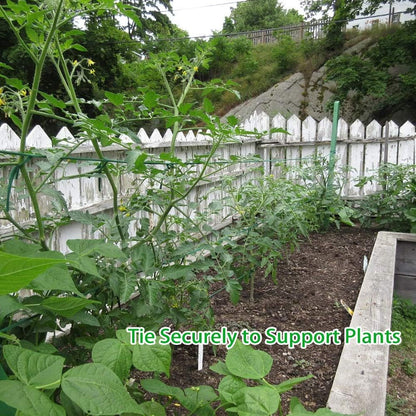 Plant Ties, 164 Feet 8mm Green Garden Twine for Tomato