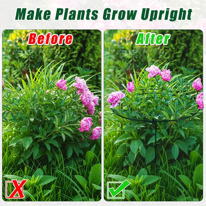 Peony Cages and Supports, 30"H x 13.8"D Plant Supports for Outdoor Plants