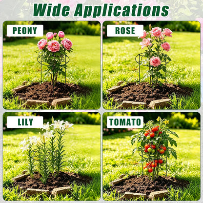 Peony Cages and Supports, 30"H x 13.8"D Plant Supports for Outdoor Plants