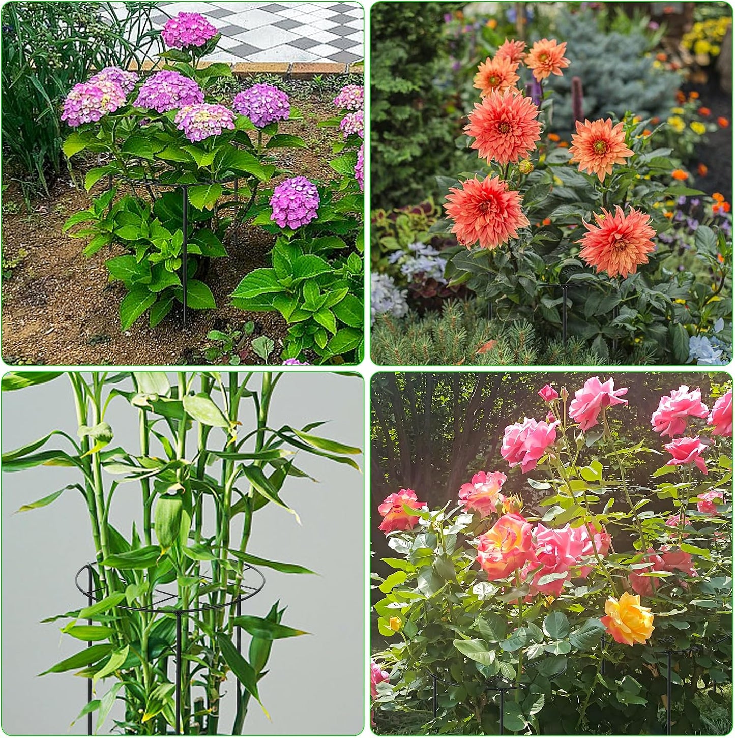 Peony Cages and Supports, 30"H x 13.8"D Plant Supports for Outdoor Plants