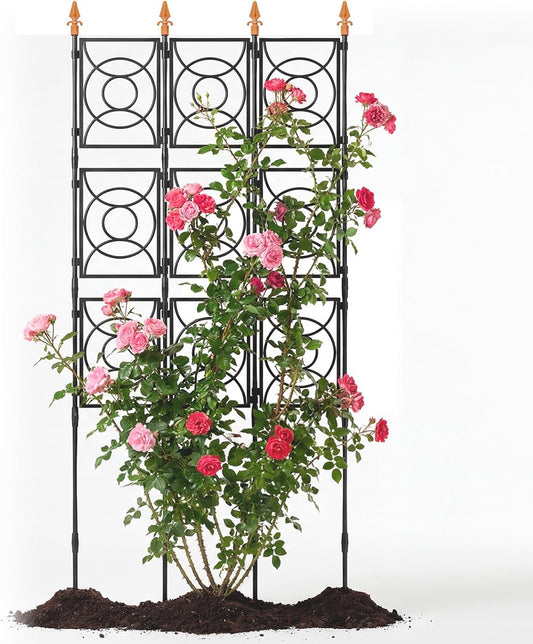 Trellis for Climbing Plants Outdoor, Tall Garden Trellis Flower Rose Cucumber Trellis for Vines Pea Support, Wall Large Plant Trellis Fence with with Plastic Frame, 3 x 6.2 FT