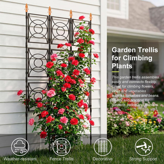 Trellis for Climbing Plants Outdoor, Tall Garden Trellis Flower Rose Cucumber Trellis for Vines Pea Support, Wall Large Plant Trellis Fence with with Plastic Frame, 3 x 6.2 FT
