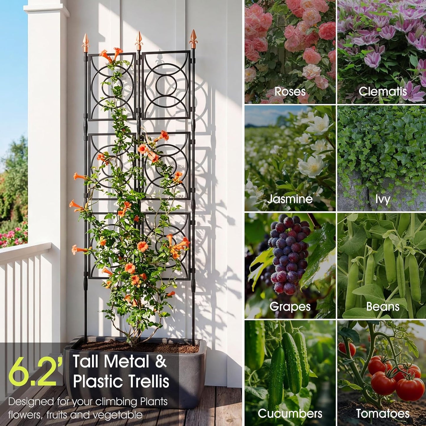 Trellis for Climbing Plants Outdoor, Tall Garden Trellis Flower Rose Cucumber Trellis for Vines Pea Support, Wall Large Plant Trellis Fence with with Plastic Frame, 3 x 6.2 FT