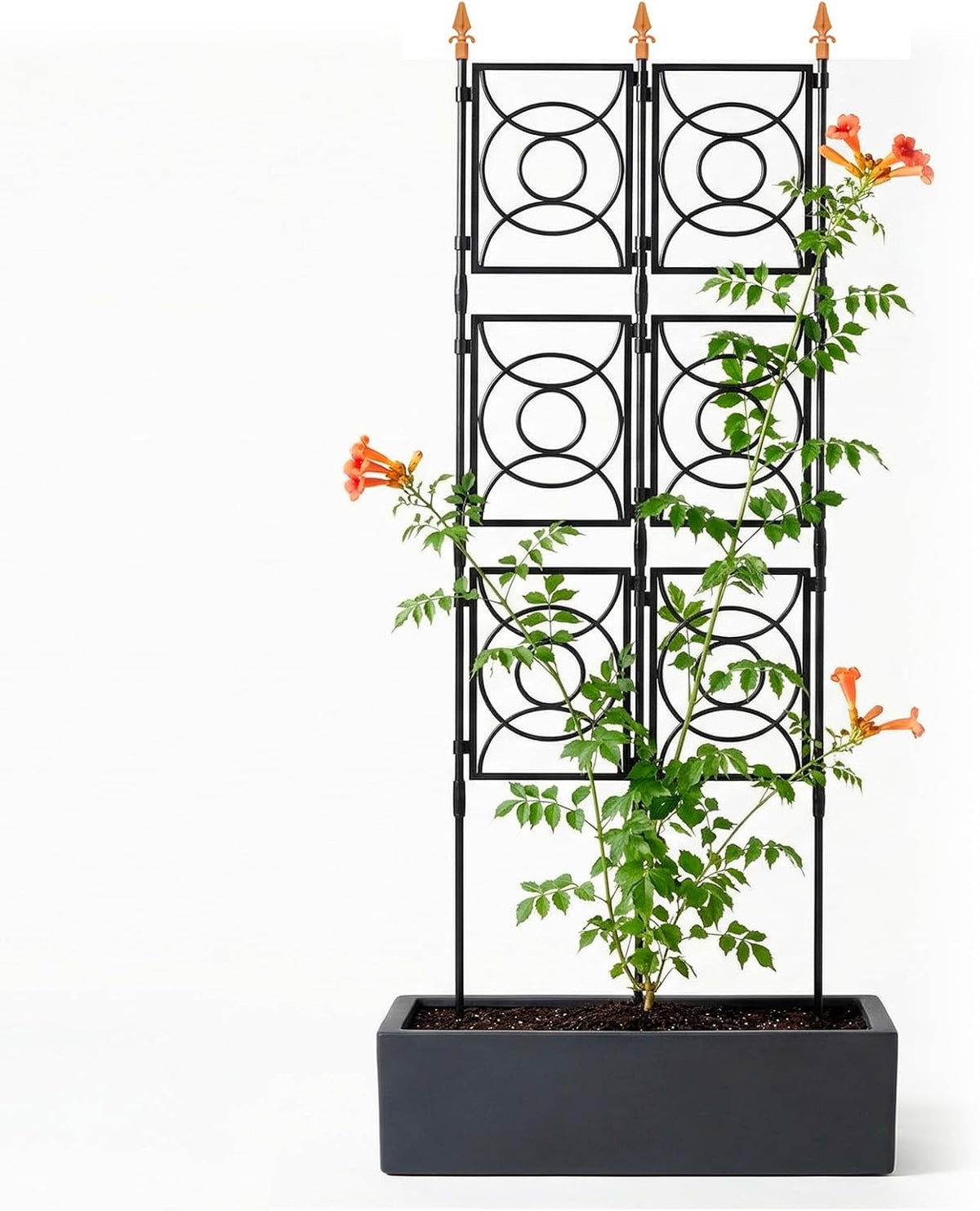 Trellis for Climbing Plants Outdoor, Tall Garden Trellis Flower Rose Cucumber Trellis for Vines Pea Support, Wall Large Plant Trellis Fence with with Plastic Frame, 3 x 6.2 FT
