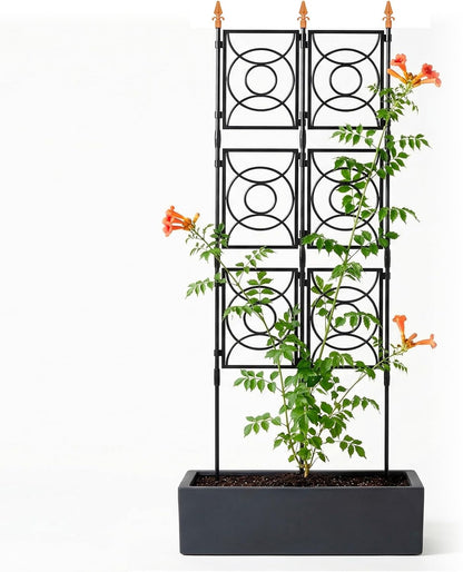 Trellis for Climbing Plants Outdoor, Tall Garden Trellis Flower Rose Cucumber Trellis for Vines Pea Support, Wall Large Plant Trellis Fence with with Plastic Frame, 3 x 6.2 FT