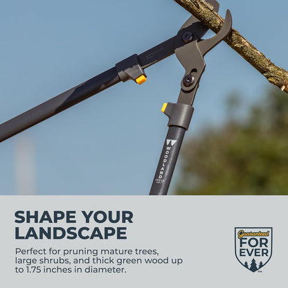Woodland Tools Duralight Compact Lopper, 16 Inch Anvil Branch Cutter with Gear Assist and Glass-Filled Nylon Handles, Lightweight Tree Pruner for Dry Branches, Tight Spaces, and Everyday Yard Work