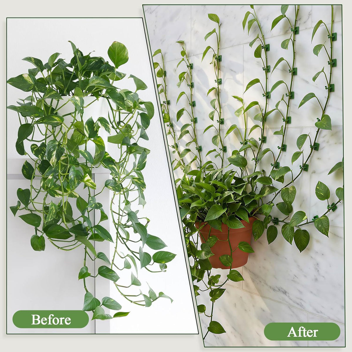 100 Pcs Plant Climbing Wall Fixture Clips, Green Plant Fixer with Self-Adhesive Hook, Fixing Clip Vines Holder for Indoor Outdoor Plants Support Cable Wire (Medium)