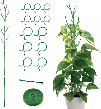 Stackable Monstera Plant Support Stakes,Plant Trellis for Indoor Climbing Plants, Tree Branch Shape Modular Plant Support Pole for Monstera, Pothos, Ivy - Green (52inch)