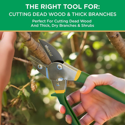 Straight Tip Floral Shears - Lightweight Gardening Scissors - Hand Pruner Pruning Shear for Flowers, Herbs, Roses and Indoor Plants