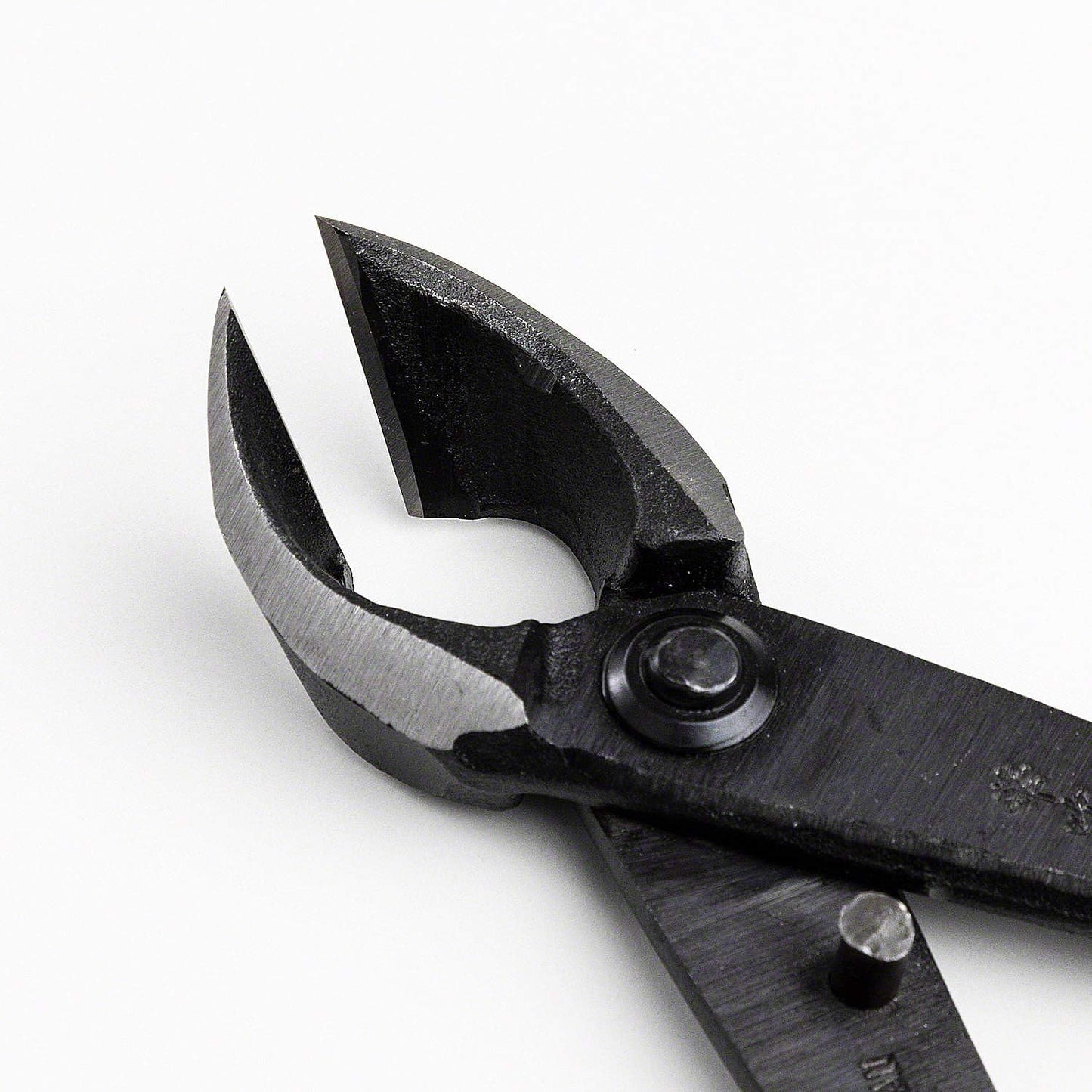 Wazakura Japanese Bonsai Tool Kit Made in Japan - Satsuki Scissors 7inch(180mm) + Concave Branch Cutter 8inch(200mm) Gift Box Set