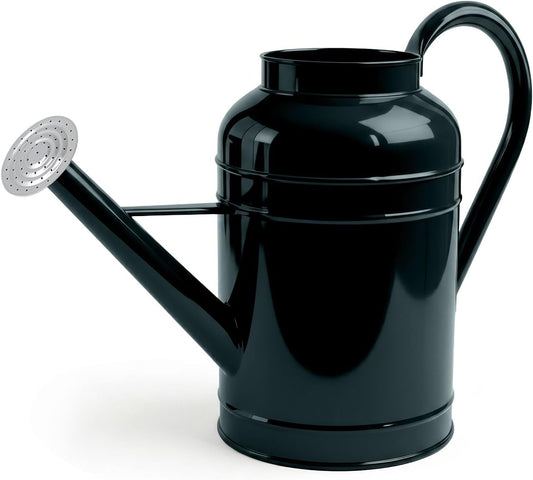 Galvanized Iron Watering Can for Indoor Plants, Bowl Watering Cans for House Plant Garden Flower, Long Spout Water Can for Outdoor Watering Plants 8.71L 2.3 Gallon Silver