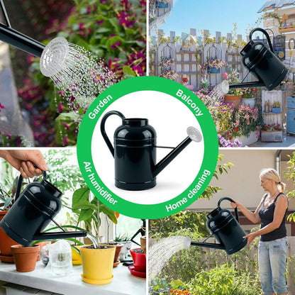 Galvanized Iron Watering Can for Indoor Plants, Bowl Watering Cans for House Plant Garden Flower, Long Spout Water Can for Outdoor Watering Plants 8.71L 2.3 Gallon Silver