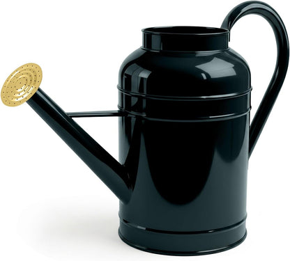 Galvanized Iron Watering Can for Indoor Plants, Bowl Watering Cans for House Plant Garden Flower, Long Spout Water Can for Outdoor Watering Plants 8.71L 2.3 Gallon Silver