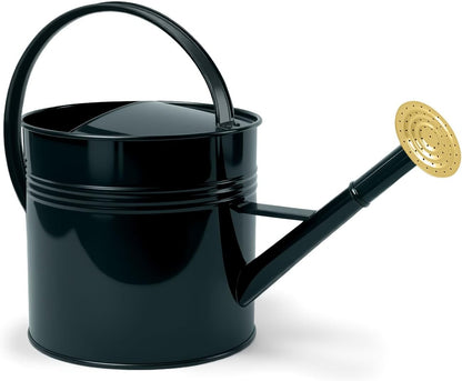 Galvanized Iron Watering Can for Indoor Plants, Bowl Watering Cans for House Plant Garden Flower, Long Spout Water Can for Outdoor Watering Plants 8.71L 2.3 Gallon Silver