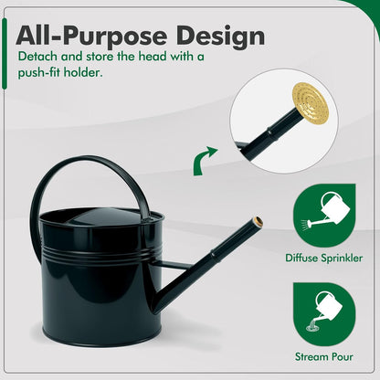 Galvanized Iron Watering Can for Indoor Plants, Bowl Watering Cans for House Plant Garden Flower, Long Spout Water Can for Outdoor Watering Plants 8.71L 2.3 Gallon Silver