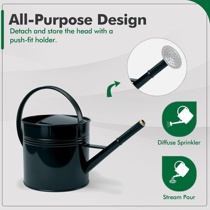 Galvanized Iron Watering Can for Indoor Plants, Bowl Watering Cans for House Plant Garden Flower, Long Spout Water Can for Outdoor Watering Plants 8.71L 2.3 Gallon Silver