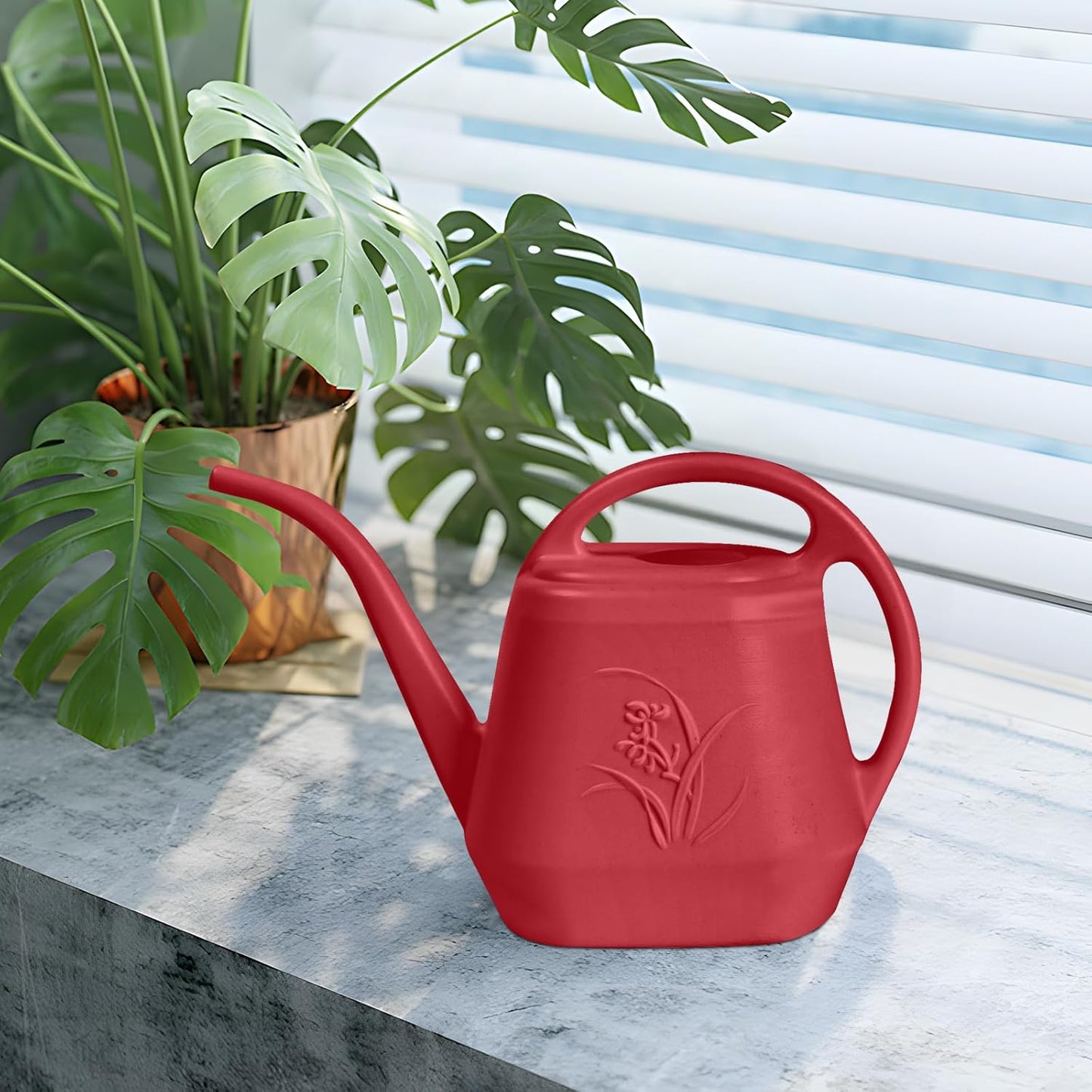 Plant Watering Can - 1/2 Gallon - Rose Red