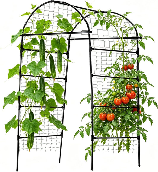 80 Inch Tall Garden Arch Trellis for Climbing Plants Outdoor, Grape Trelli Metal Vine Plants Support Flower Vegetable Tomato (Black, 33" L x 33" W x 80" H - Arch Trellis)