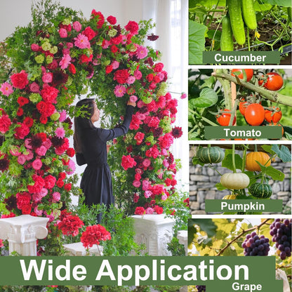 80 Inch Tall Garden Arch Trellis for Climbing Plants Outdoor, Grape Trelli Metal Vine Plants Support Flower Vegetable Tomato (Black, 33" L x 33" W x 80" H - Arch Trellis)
