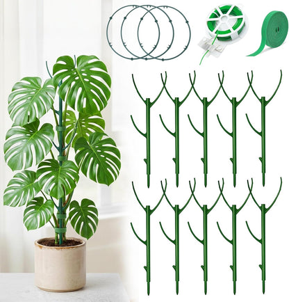 Monstera Plant Support Stakes Indoor - 10 Pack Stackable Garden Trellis for Potted Climbing Pothos Support - Durable All-in-One Tall Plant Sticks Pole for Modern Home Gardening (10 Pack)
