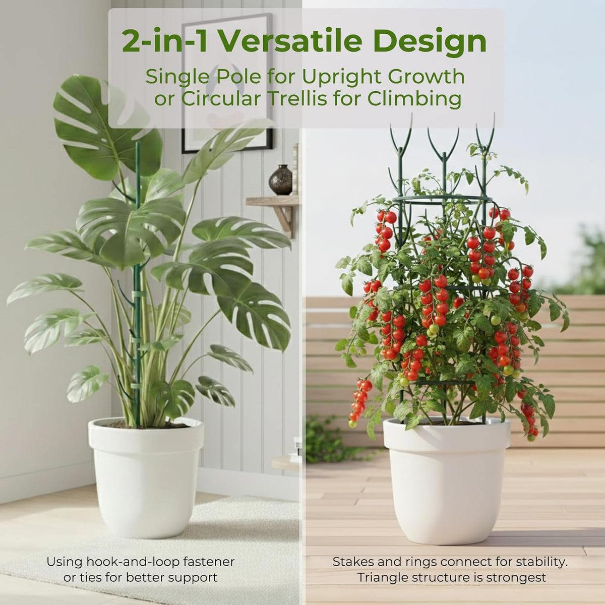 Monstera Plant Support Stakes Indoor - 10 Pack Stackable Garden Trellis for Potted Climbing Pothos Support - Durable All-in-One Tall Plant Sticks Pole for Modern Home Gardening (10 Pack)
