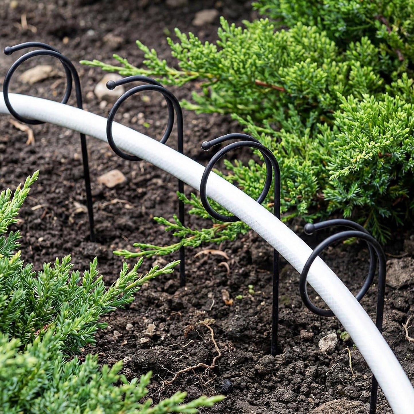10 Pack 14.5 Inch Ball End Garden Hose Guide Stakes, Heavy Duty Metal Hoses Guard Spike, Holders to Stay Off Grass, Water Pipe Guides for Yard Lawn & Flower Beds to Protect Plants