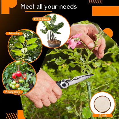 6 Pcs Garden Flower Scissors Heavy Duty Multifunctional Floral Gardening Scissors Trimming Pruning Bonsai Shears Pruners for Fresh Flowers Fruit Vegetable Plant Branch Potted Landscape